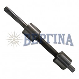 Ράουλο Κίνησης 